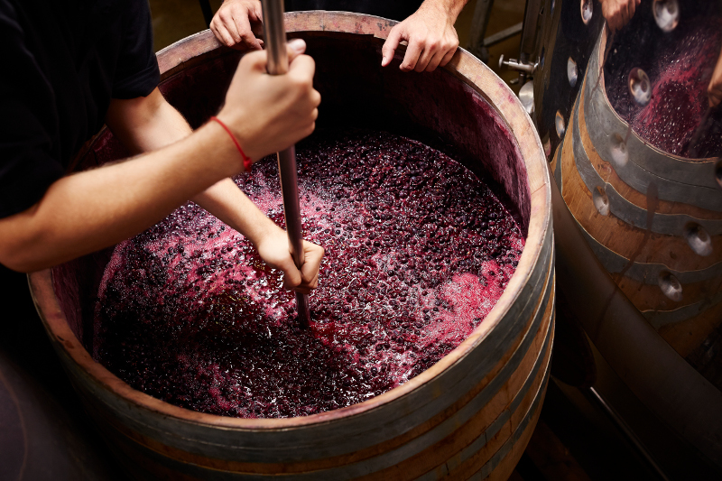 Crushing grapes in Central Otago.