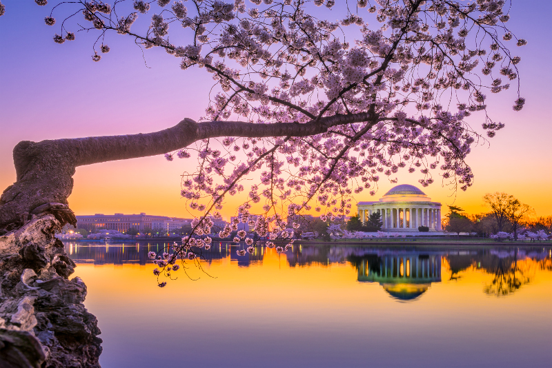 Washington DC