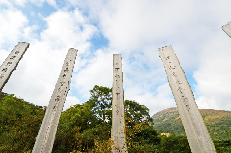 Wisdom Path