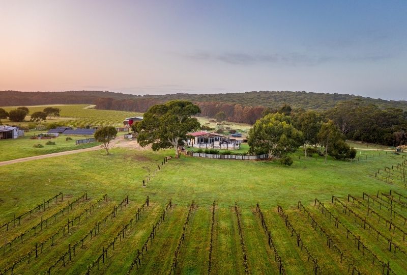 False Cape Wines