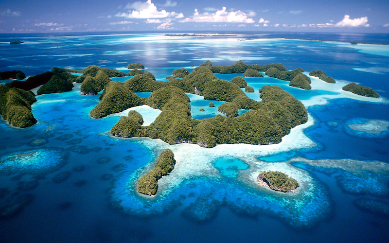 Jellyfish Lake Palau