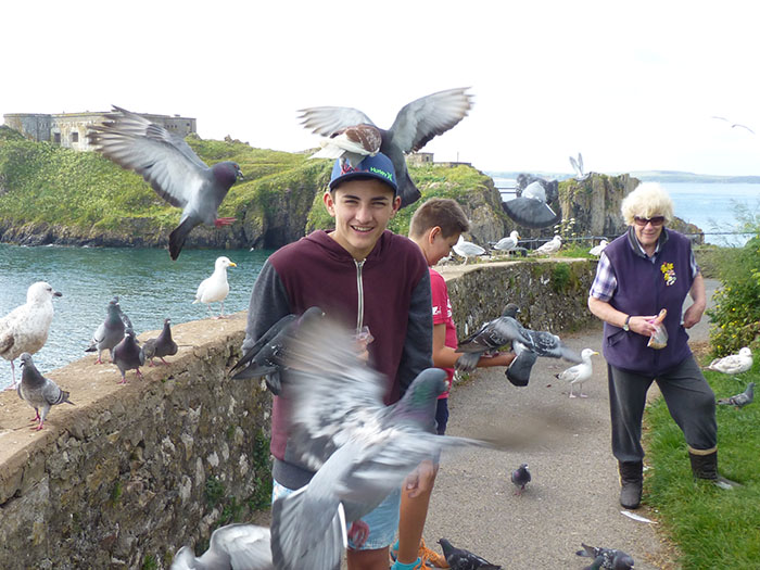 Feeding rock pigeons and seagulls in Tenby.