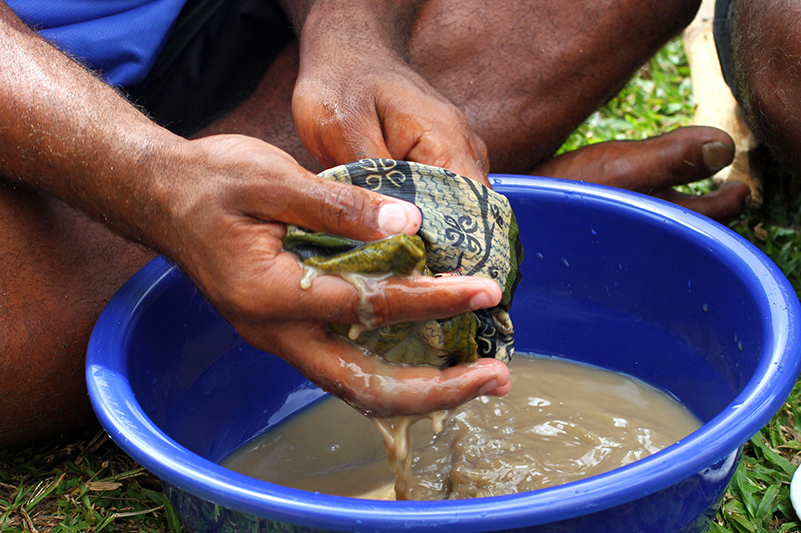 Preparing kava in Fiji
