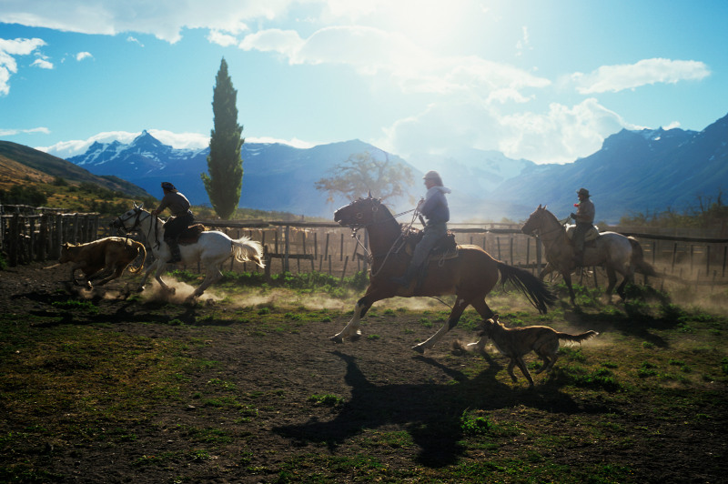 Cowboys in south america