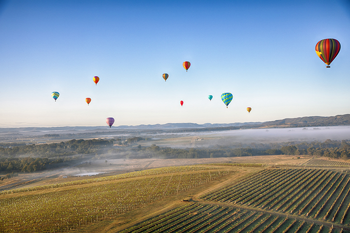 hot air balloons over the hunter valley