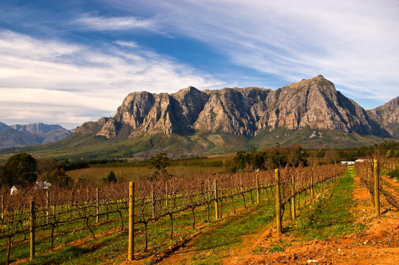 Stellenbosch wine region South Africa