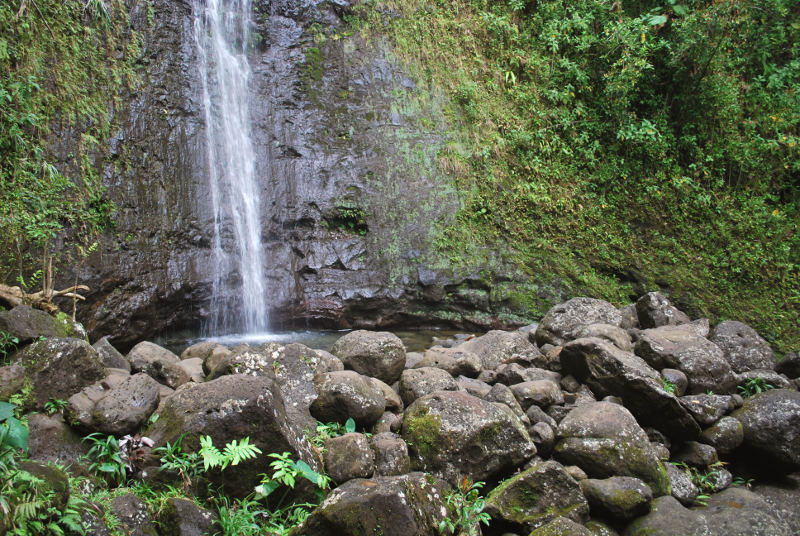 Manoa Falls, Hawaii