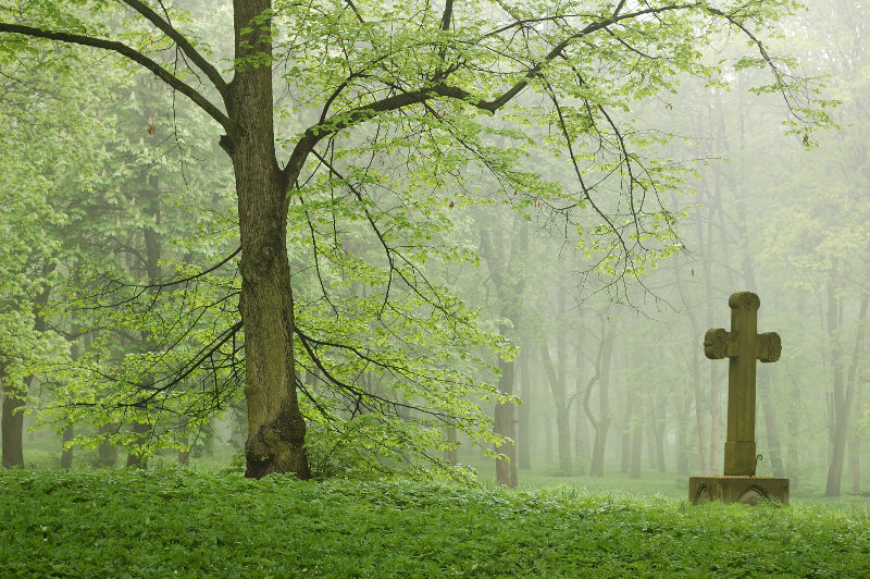 Great Cemetery of Riga