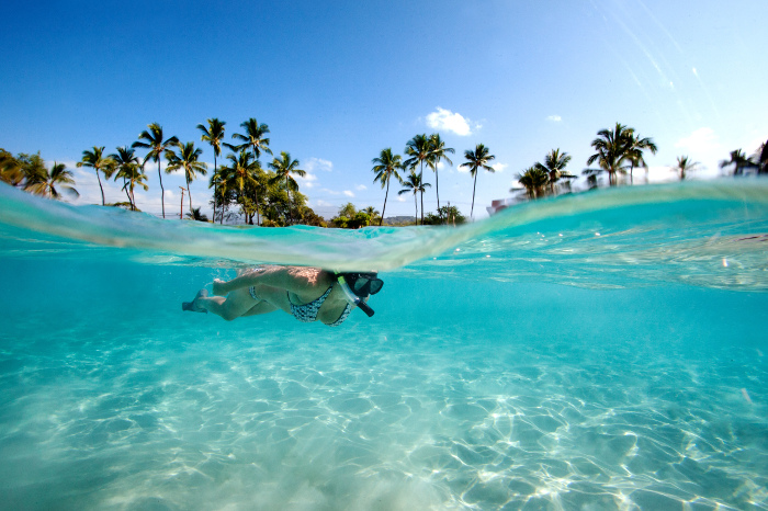Woman snorkelling in waters with palm trees behind