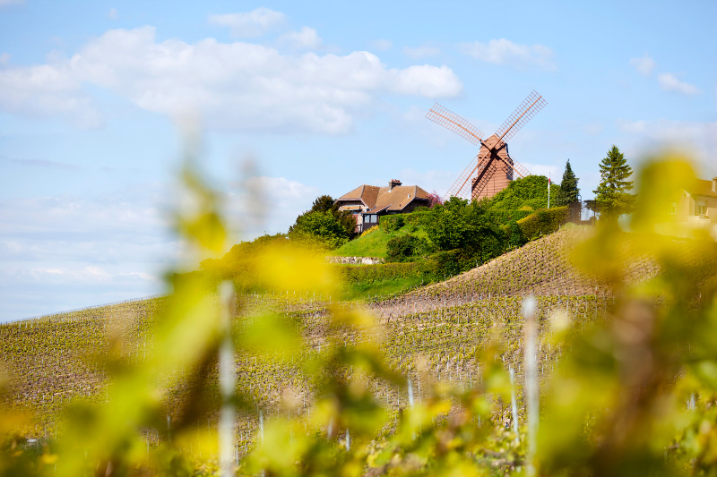 windmill of Verzenay near Reims, France