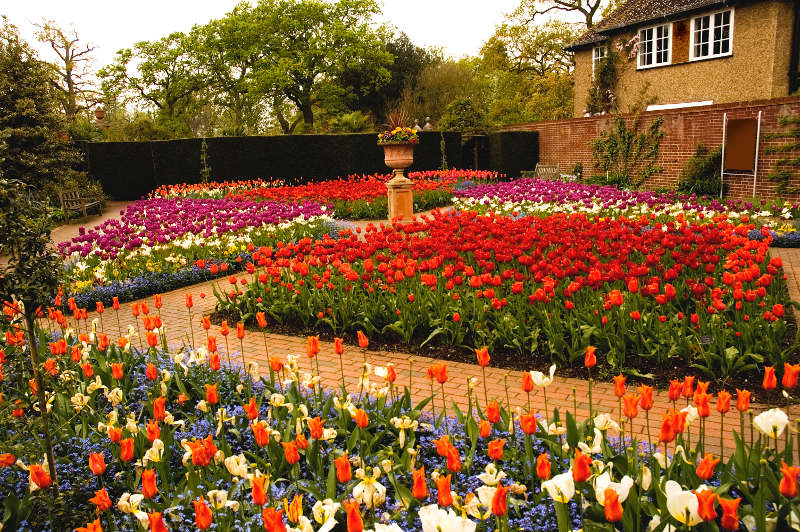 Wisley Gardens, England, United Kingdom