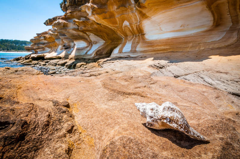 sandstone sea cliffs maria island tasmania