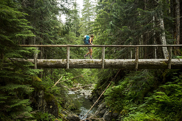 olympic national park