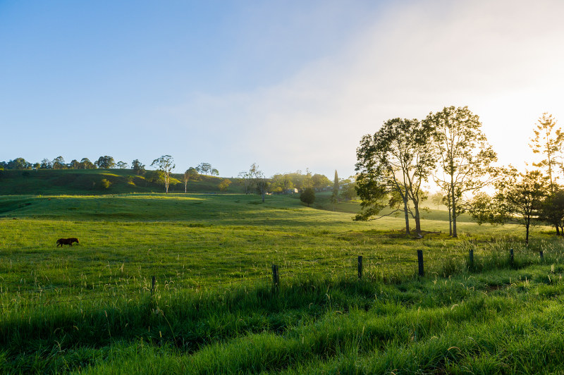 Tranquil scene of countryside in Northern Rivers Region, New South Wales