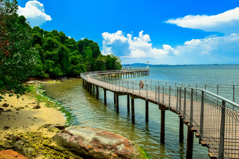 Boardwalk over water, Pulau Ubin island Singapore