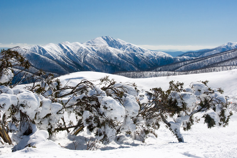 A Winter Guide To The Victorian High Country