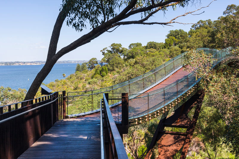 Kings Park Perth Australia