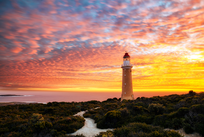 close to home cruises - kangaroo island