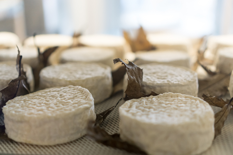soft cheeses at a market