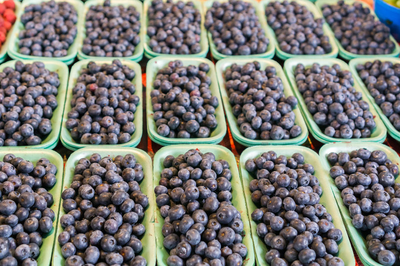 Punnets of blueberries at a market in Montreal, Canada