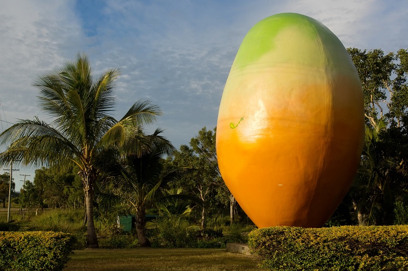 The Big Mango, located at the Bowen tourist information centre.
