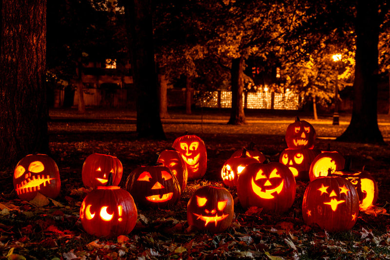 Jack-o-lanterns in a field
