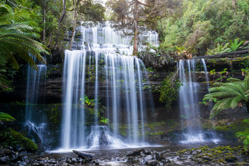 russell falls tasmania