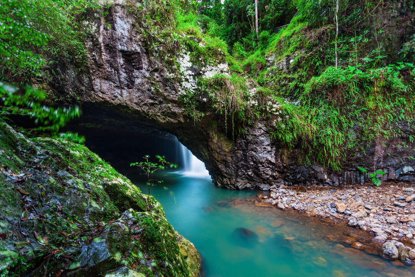 natural bridge waterfall springbrook queensland