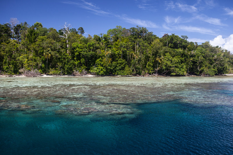 Marovo Lagoon, Solomon Islands
