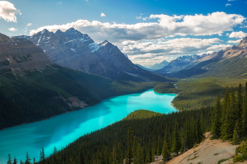 Peyto Lake, Banff, Canada