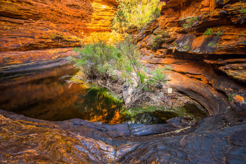 The Garden of Eden, Kings Canyon, Northern Territory Australia