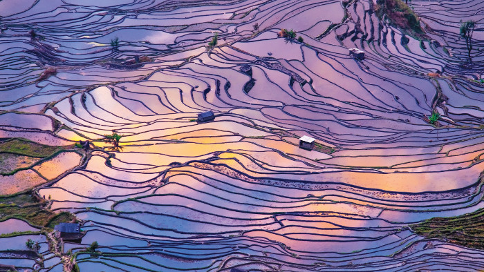 Hongle Hani rice terraces created by the hani people in the ailao mountains china