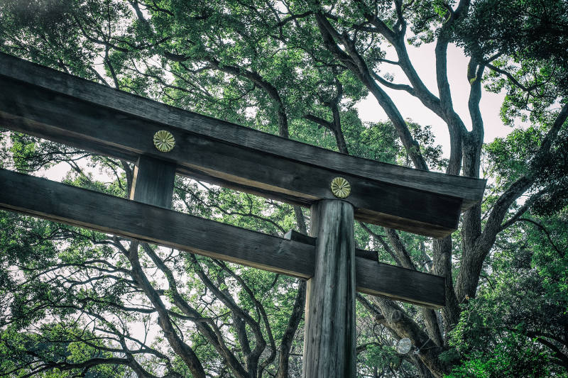Meiji Shrine in Tokyo