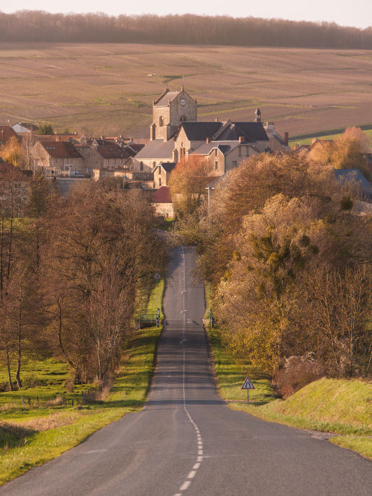 Road leading into town in champagne region of france