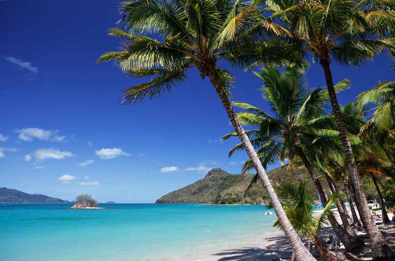 Catseye Beach, Hamilton Island