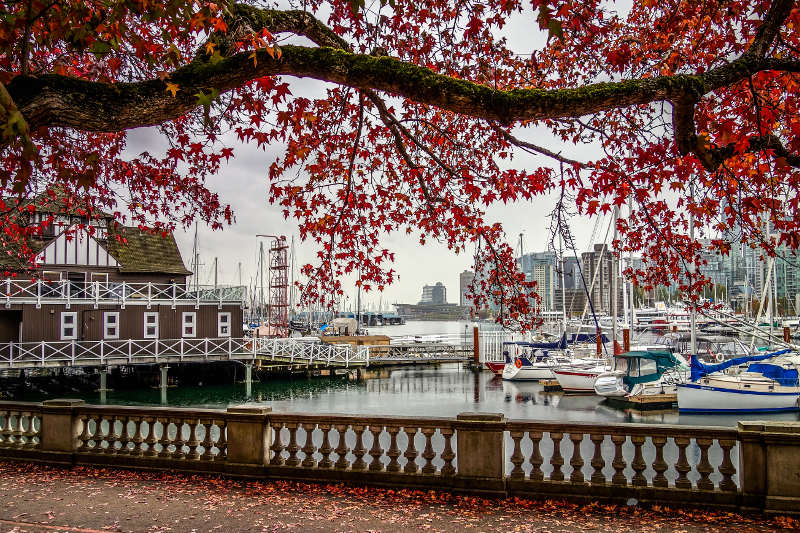 Vancouver marina, Canada