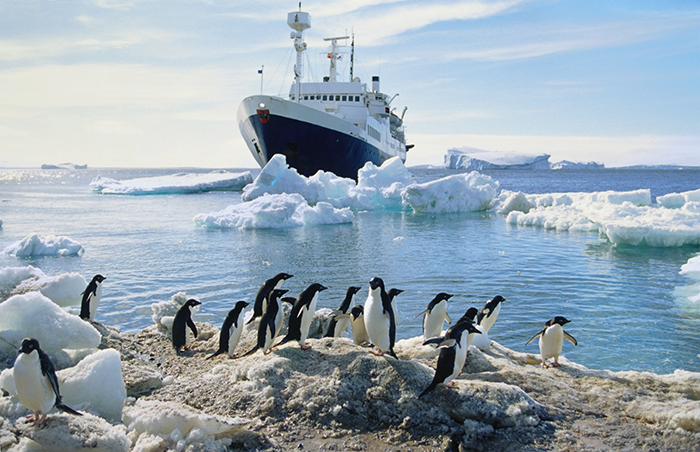 An Antarctic voyage mean plenty of penguin sightings.