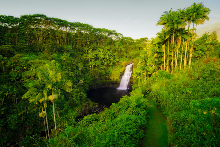 Kulaniapia Falls Hilo hawaii