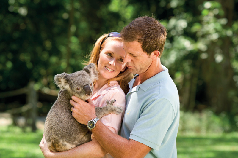 Couple cuddles a koala at Currumbin Wildlife Sanctuary on the Gold Coast.