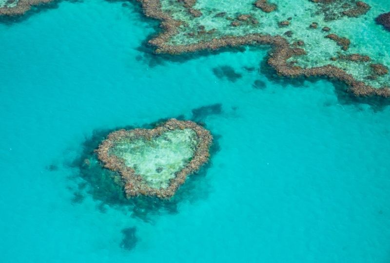 Image of Heart Reef 