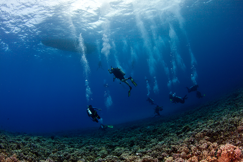 Scuba divers at Molokini Crater dive site in Maui