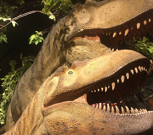 Dinosaurs in Ottawa museum