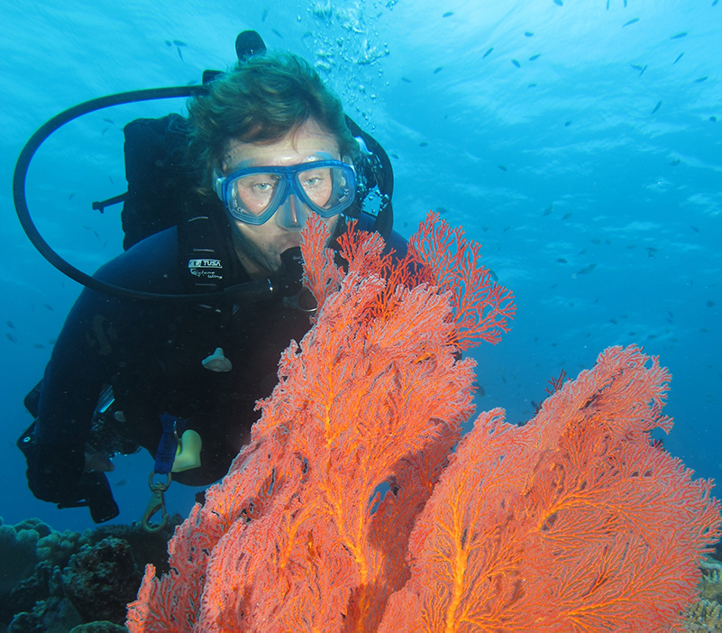Diver with coral in Vanuatu
