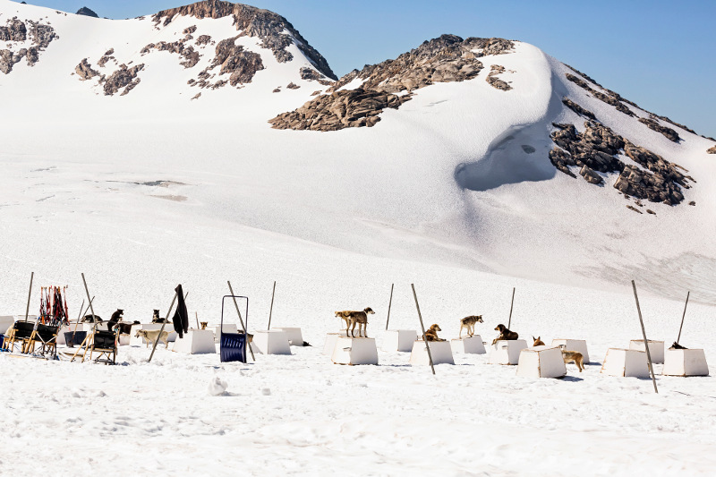 Sled dogs await a run on the Skagway Glacier. Image: Getty