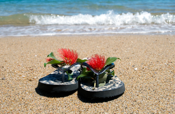 Jandals - thongs - on the beach in New Zealand.