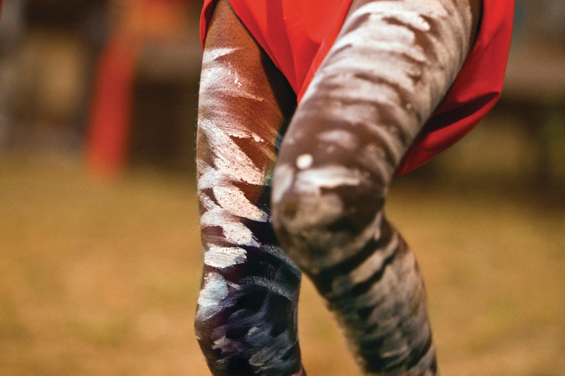 A close up of an Aboriginal dancer's legs.