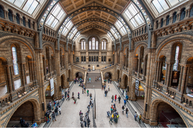 Inside one of London's many museums