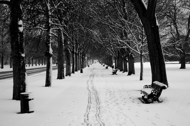 Park in London blanketed in snow
