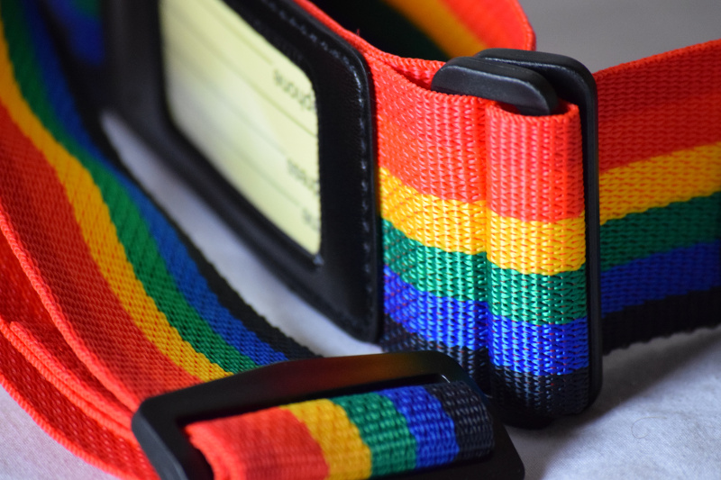 Luggage strap