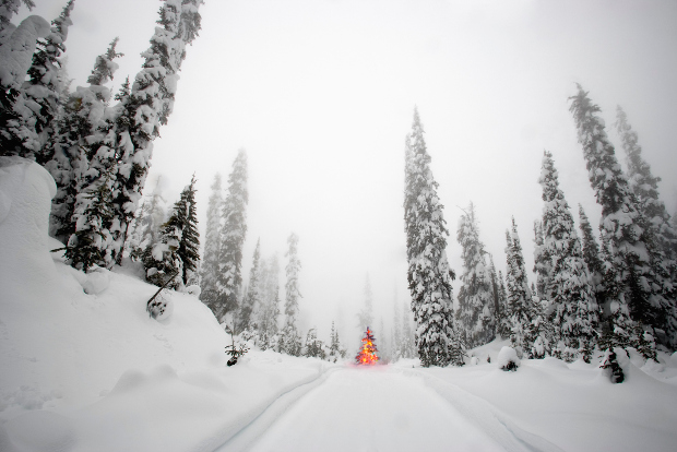 A white Christmas in Jasper National Park, Canada.